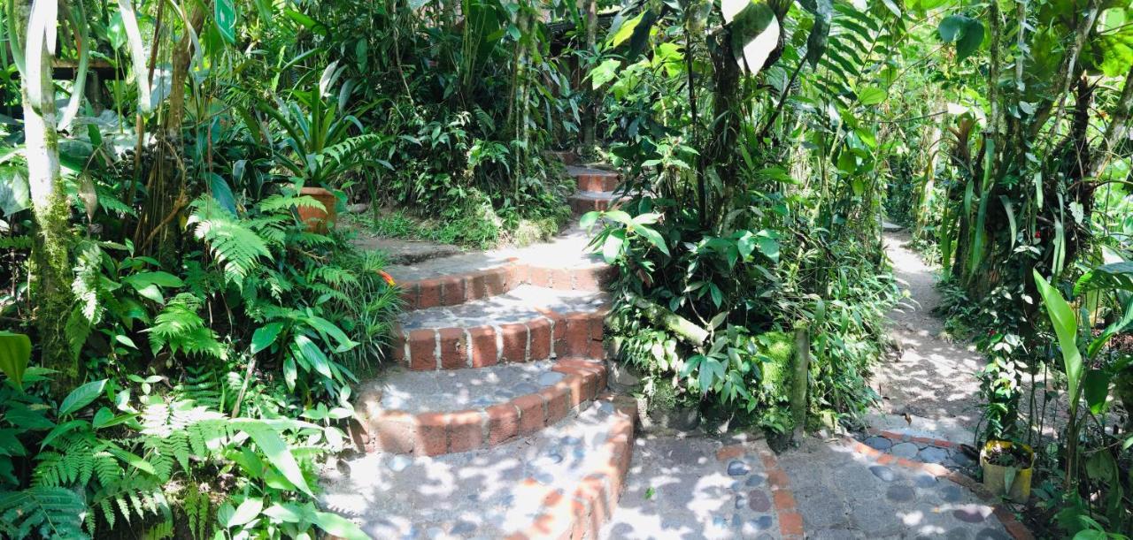 Cabanas Armonia Y Jardin De Orquideas Mindo Zewnętrze zdjęcie