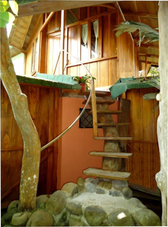 Cabanas Armonia Y Jardin De Orquideas Mindo Zewnętrze zdjęcie