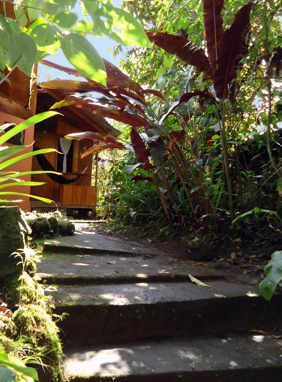 Cabanas Armonia Y Jardin De Orquideas Mindo Zewnętrze zdjęcie