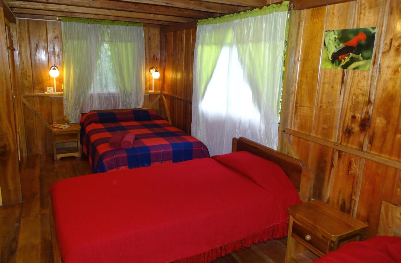 Cabanas Armonia Y Jardin De Orquideas Mindo Zewnętrze zdjęcie